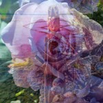 Die Mutter mit lila Rose kl