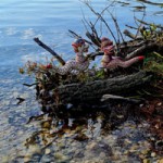 Drachen-Geschwister kl